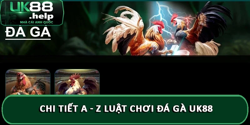 Hướng dẫn đặt cược đá gà trực tiếp tại nhà cái UK88 2 Chi tiết A - Z luật chơi đá gà UK88