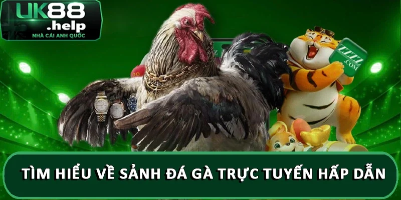 Tìm hiểu về sảnh đá gà trực tuyến hấp dẫn